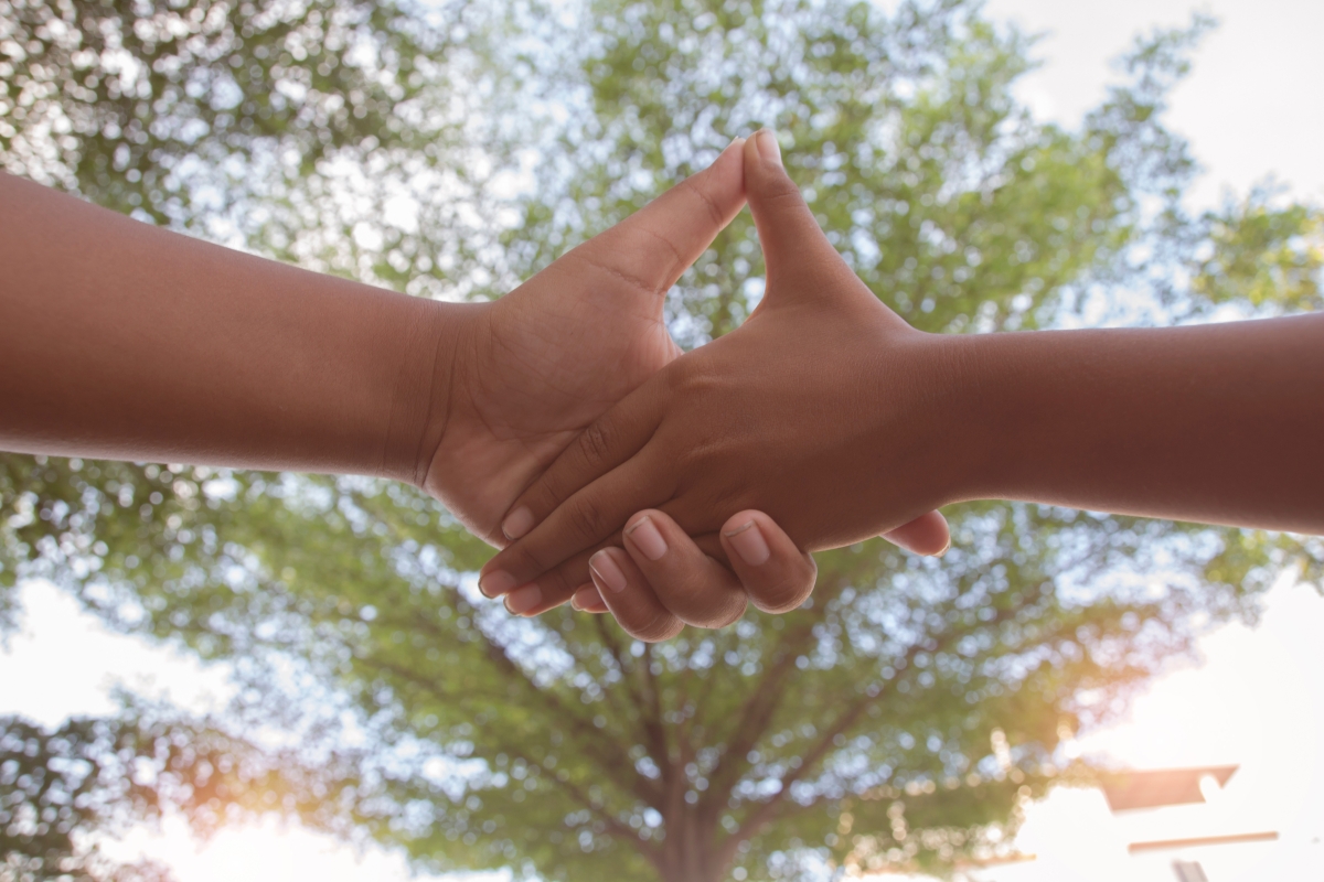 Holding hands unders a tree